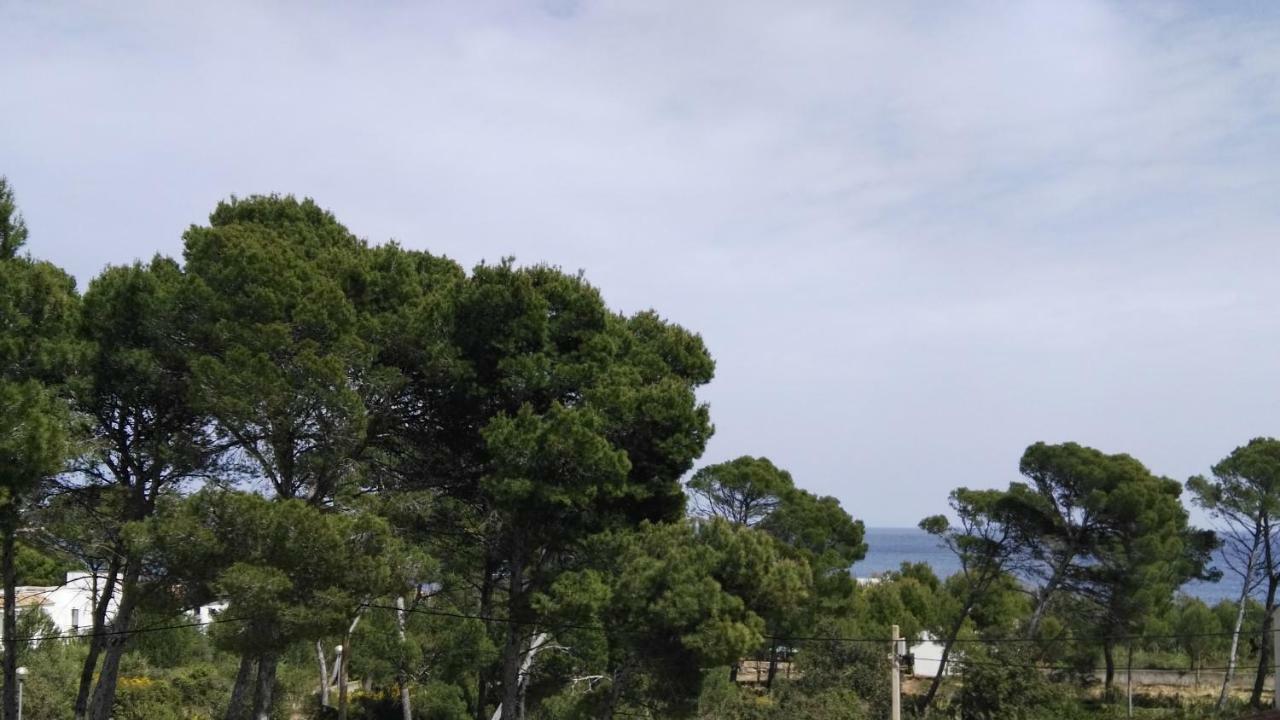 Dream House Villa Cala Ratjada  Exterior foto